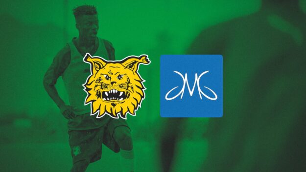 JMG-Ilves